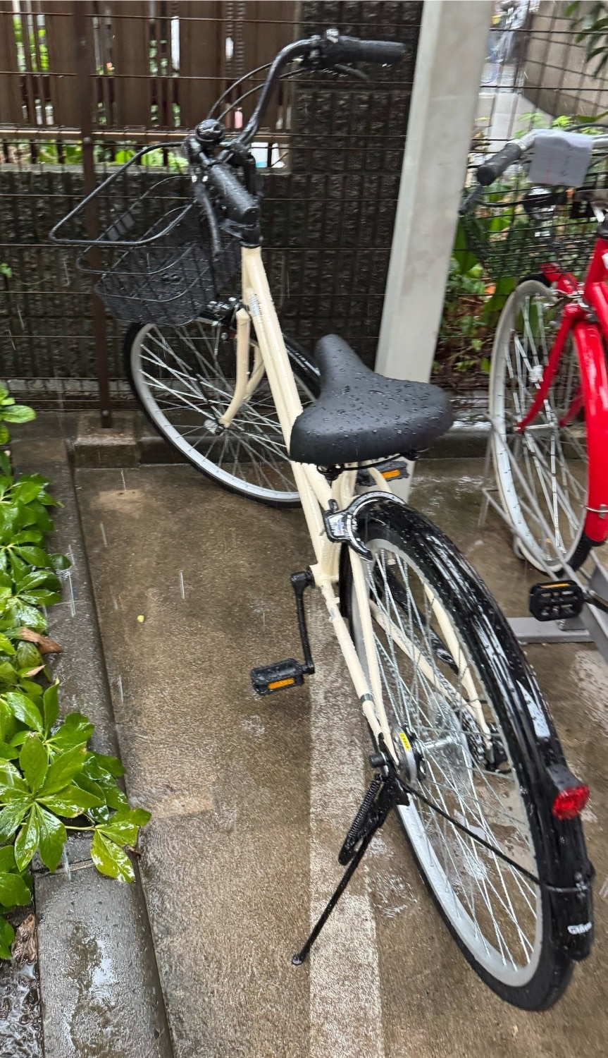 楽天市場】【送料無料】【東日本限定】クリーム Cream City（クリーム