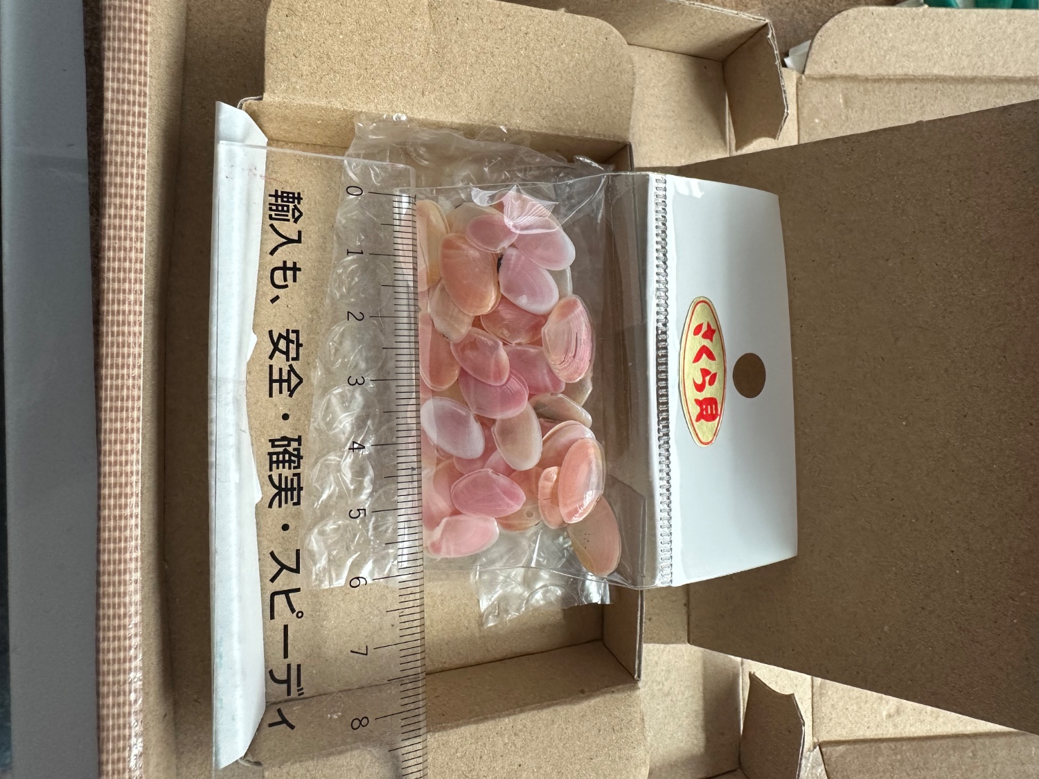 楽天市場】楽天1位獲得!! 【小さな貝殻パーツ】サクラガイ 桜貝