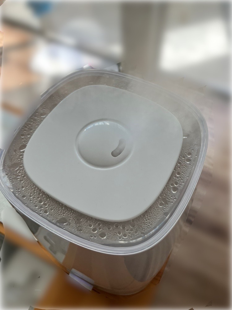 次亜塩素酸水 500ppm ジアニスト [2.5L+500ml] 合計3L 歯科医師おすすめ 次亜塩素酸 電気分解製法  次亜塩素酸水 ジアニスト ペット消臭 レビュー画像6
