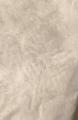 「ボックスシーツ クイーン あったか fuwari(ふわり) マイクロファイバー 160×200×30cm 洗える 暖か 暖かい 冬用 秋 冬 おしゃれ 北欧 シーツ マットレスカバー ベッドカバー ベットカバー ベッドシーツ」の商品レビュー詳細を見る