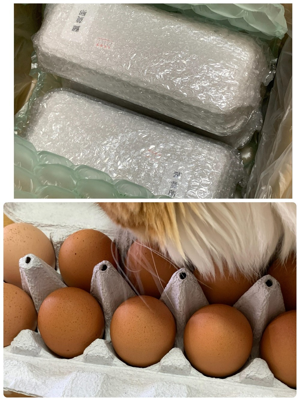 最大50%OFFクーポン 九州産 輝黄卵 玉子 たまご 卵 タマゴ 10玉パック 福岡産 九州 ふるさと納税 5kg 約90個(80個+割れ補償10個) 約半世紀卵づくり一筋 !『下川六〇酵素卵』 下川ろくまる あべ養鶏場 たまご 玉子 タマゴ ふる.. 北海道下川町