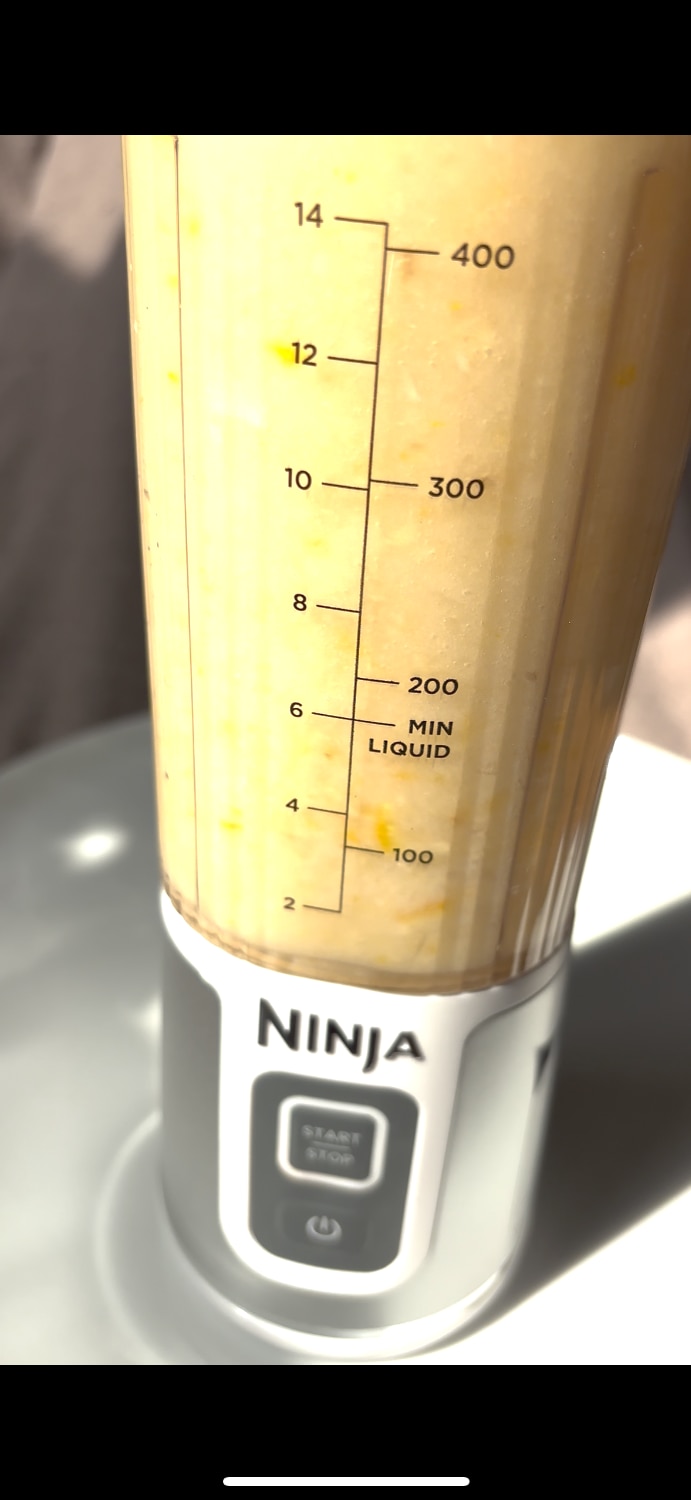 NinjaBlast コードレスミキサー シャークニンジャ レビュー画像4
