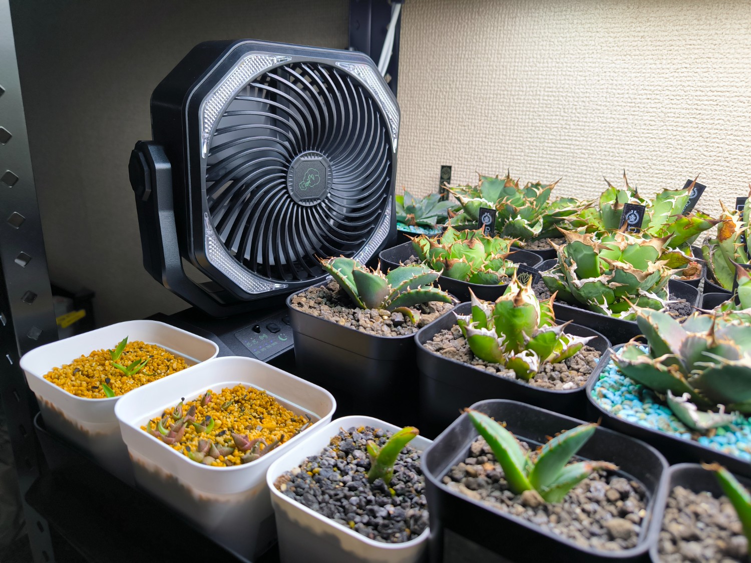 HEAT & COOL サーキュレーター新品未開封　最新版　軽量　週末値下げ！ 多機能サーキュレーター HEAT&COOL(ヒート&クール) | 家具