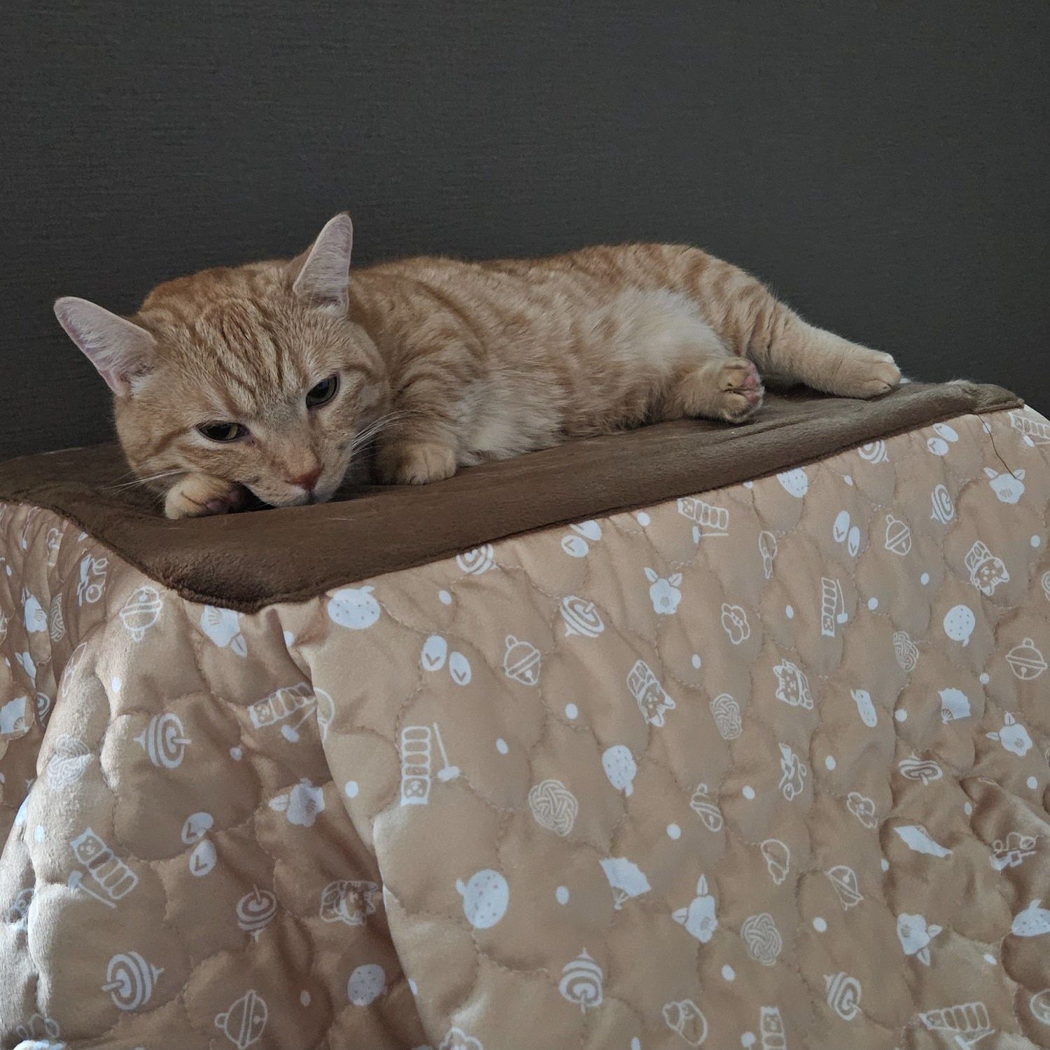 楽天市場】マルカン 猫用こたつ 遠赤外線にゃんこの和みこたつ（にゃ