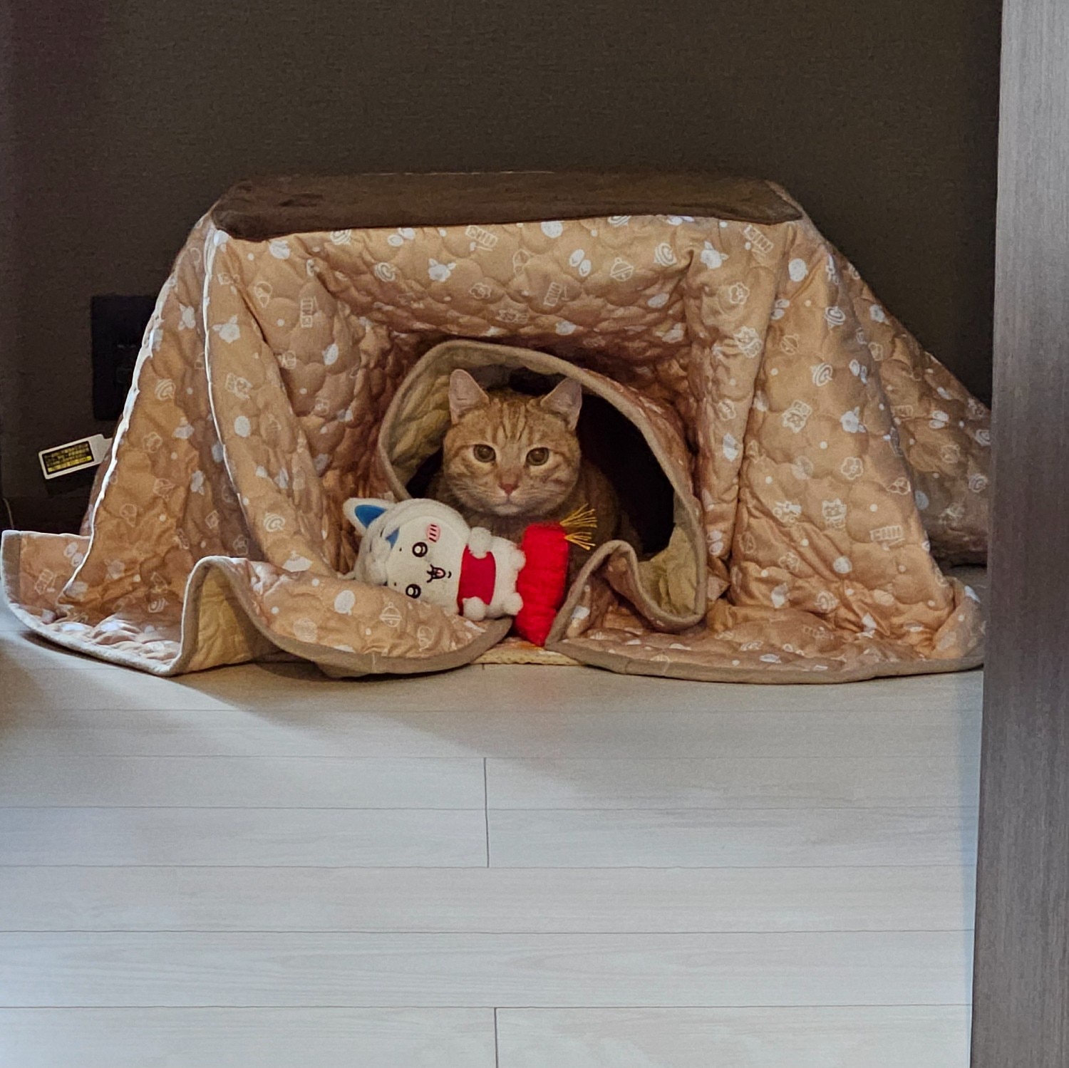 楽天市場】マルカン 猫用こたつ 遠赤外線にゃんこの和みこたつ（にゃ