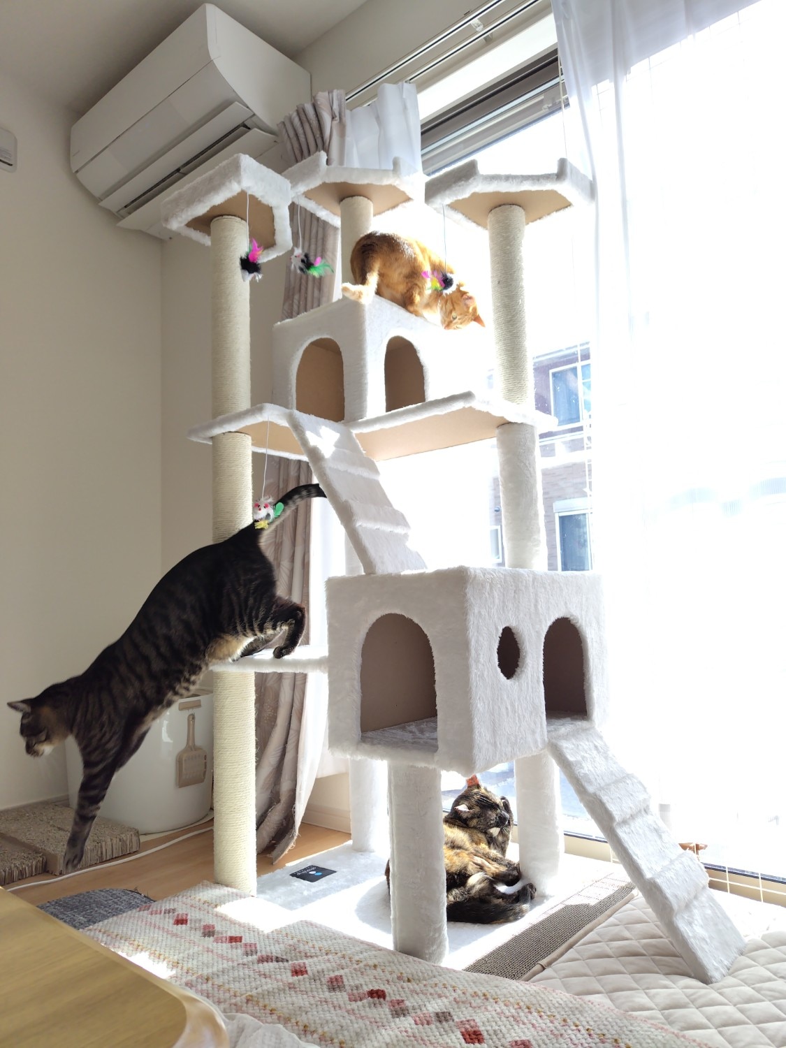 キャットタワー キャットツリー 猫タワー レビュー画像9