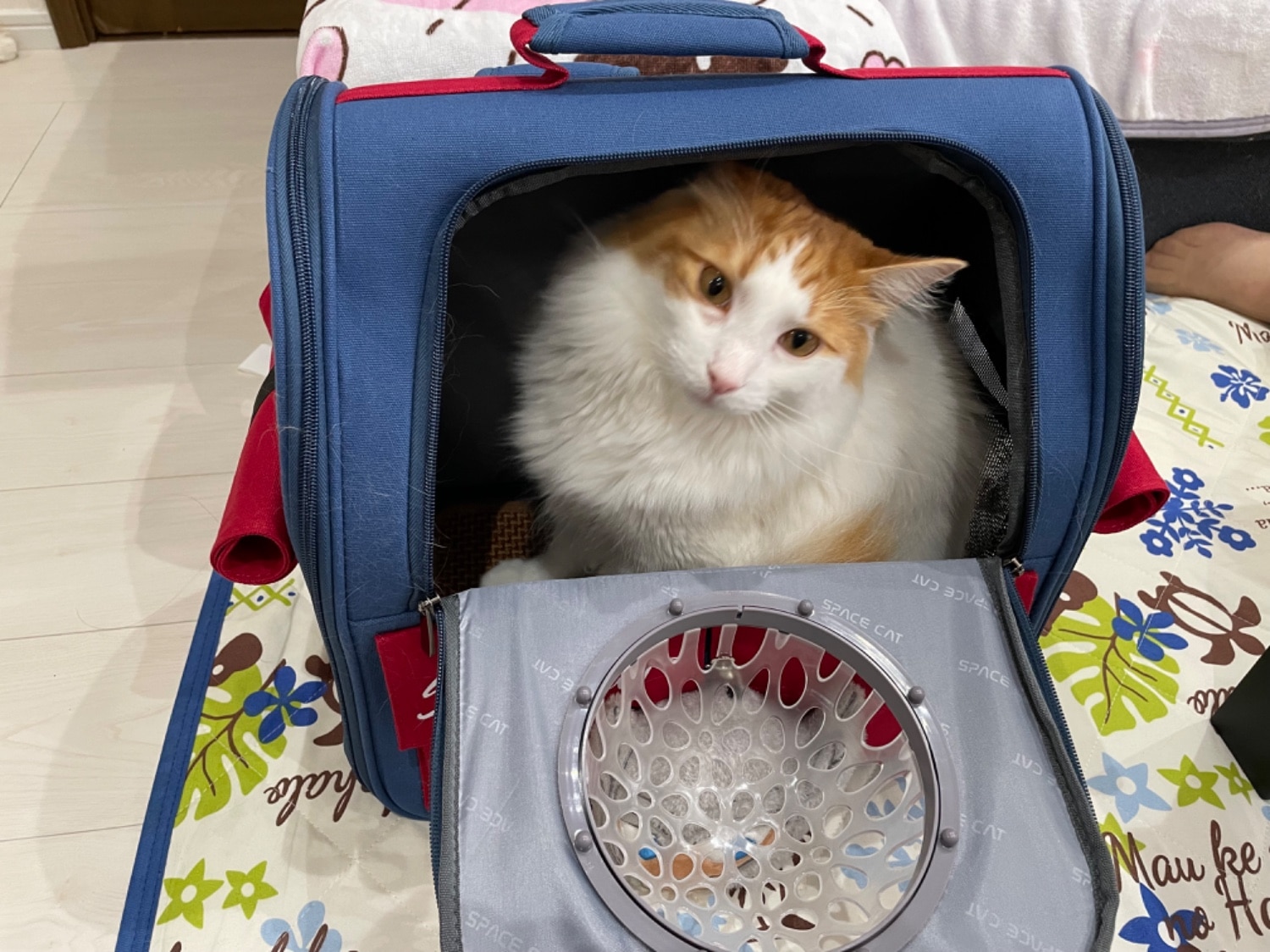 ペットキャリーリュック 宇宙船キャリー 猫キャリーバッグ レビュー画像18