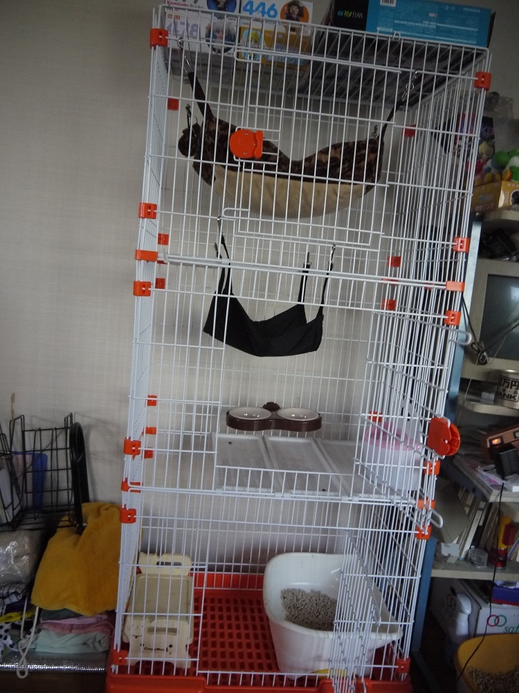 キャットケージ 3段 ステップ台 棚板付き 猫 子猫 ケージ 引き出しトレー ペットケージ ケージ ゲージ 猫 保護猫  キャットケージ 猫ケージ口コミ 3段ケージレビュー レビュー画像18