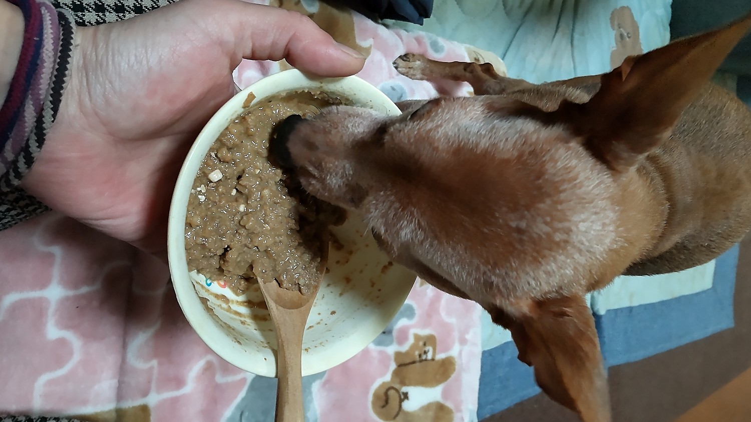 楽天市場 アニモンダ犬 腎臓ケア ニーレン 豚150g 腎臓療法食 穀物不使用 グレインフリー インテグラプロテクト 犬用 ウェットフード 犬 食事療法食 腎臓 腎臓食 腎臓をサポートするための低リン 低タンパク ドッグ 缶詰 療法食 ウエット いぬ 餌 エサ 慢性腎不全