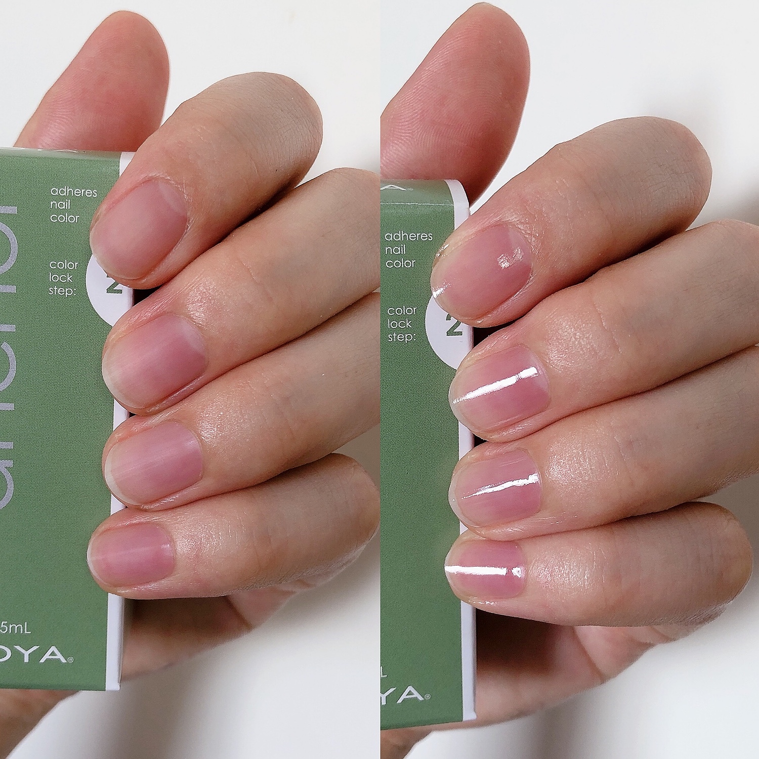 ZOYA ゾーヤ アンカーベースコート (15ml) <BR>Anchor Base Coat - ネイル