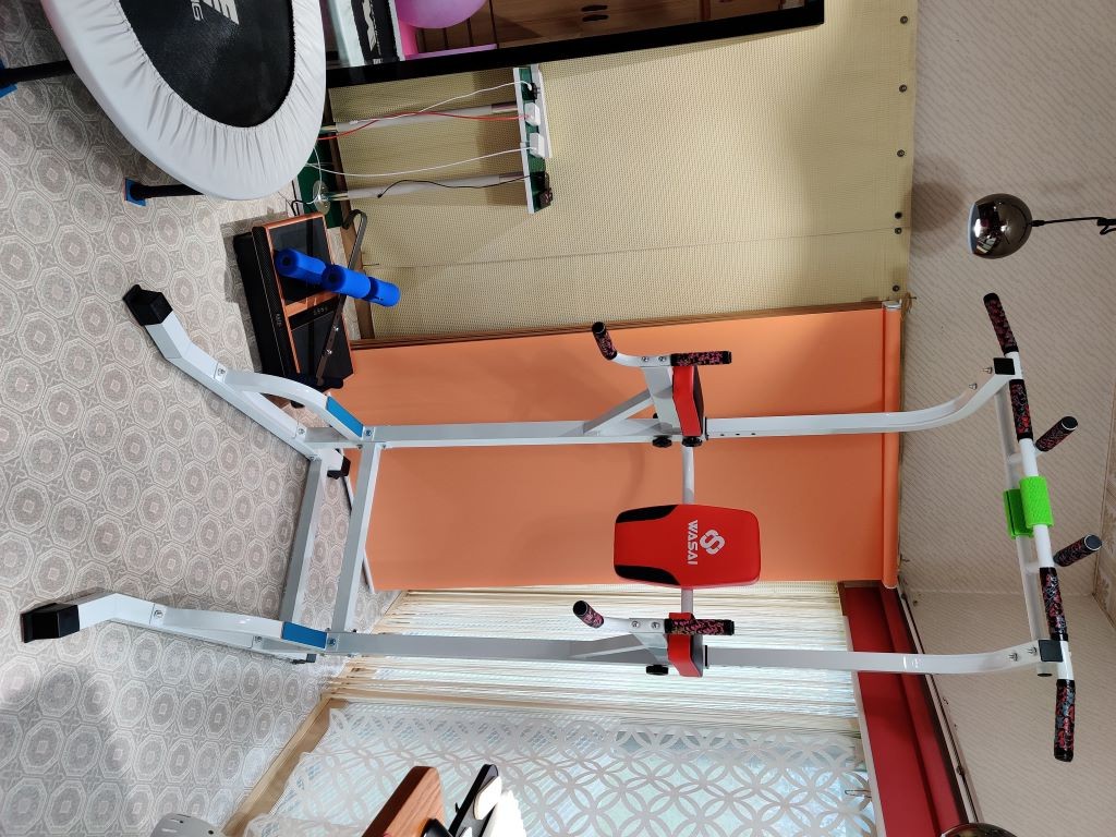 楽天市場】懸垂 懸垂マシン 懸垂器具【220CM調節/耐荷重150kg