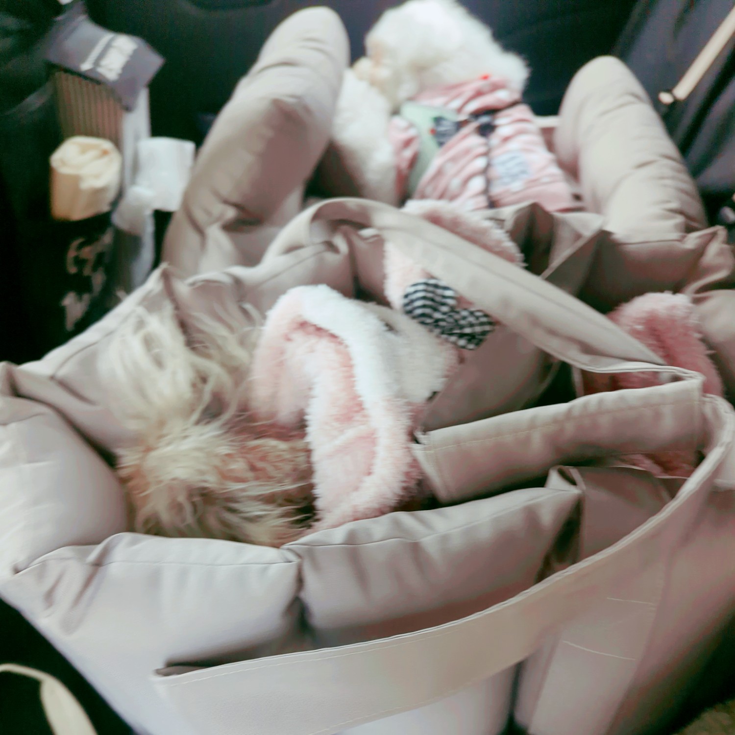 RADICAドライブベッドキャリー コーデュラロゼッタ口コミ 犬ドライブベッドおすすめ レビュー画像9