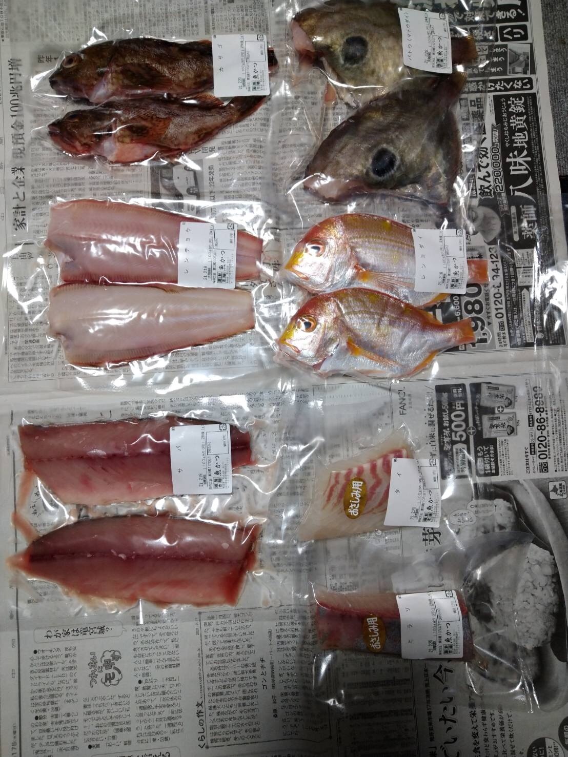 楽天市場 月間優良ショップ受賞 下処理鮮魚セット魚 詰め合わせ 送料無料刺身 鮮魚 詰め合わせ刺身 盛り合わせ 寿司鮮魚 下処理お取り寄せグルメ 鮮魚 直送海鮮福袋 さしみ 焼き魚 煮魚美味しい 魚 海鮮セット鮮魚 下処理 海鮮 山口県産海鮮広場 魚かつ みんなの