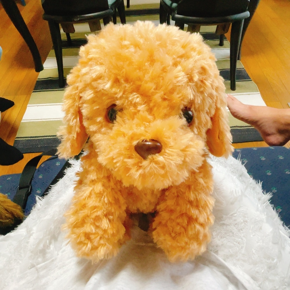 楽天市場】【365日出荷】 おしゃべりトイプードル ロボット 犬 認知症