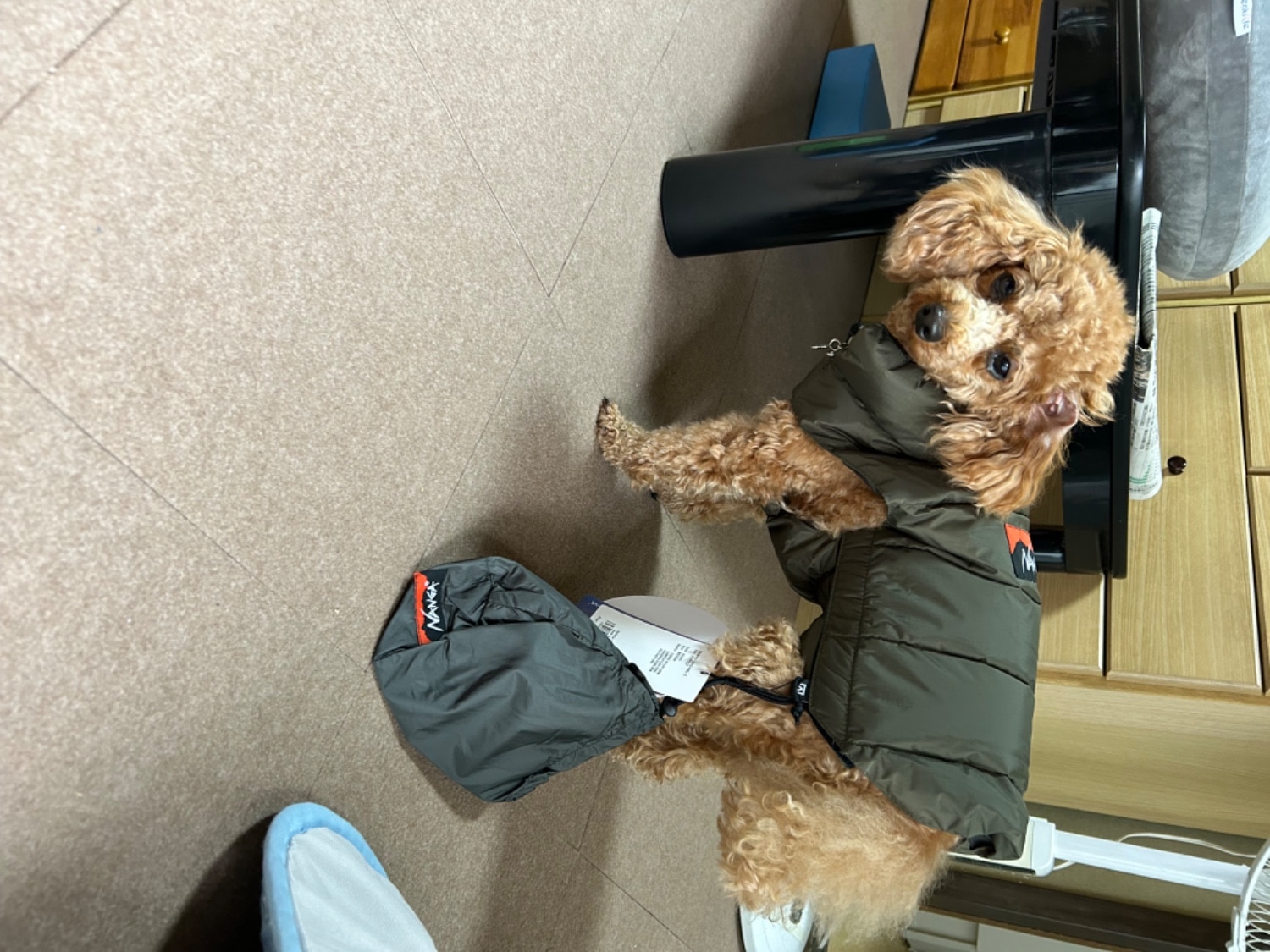 楽天市場】【19%OFFクーポン対象】NANGA(ナンガ)DOG DOWN JACKET