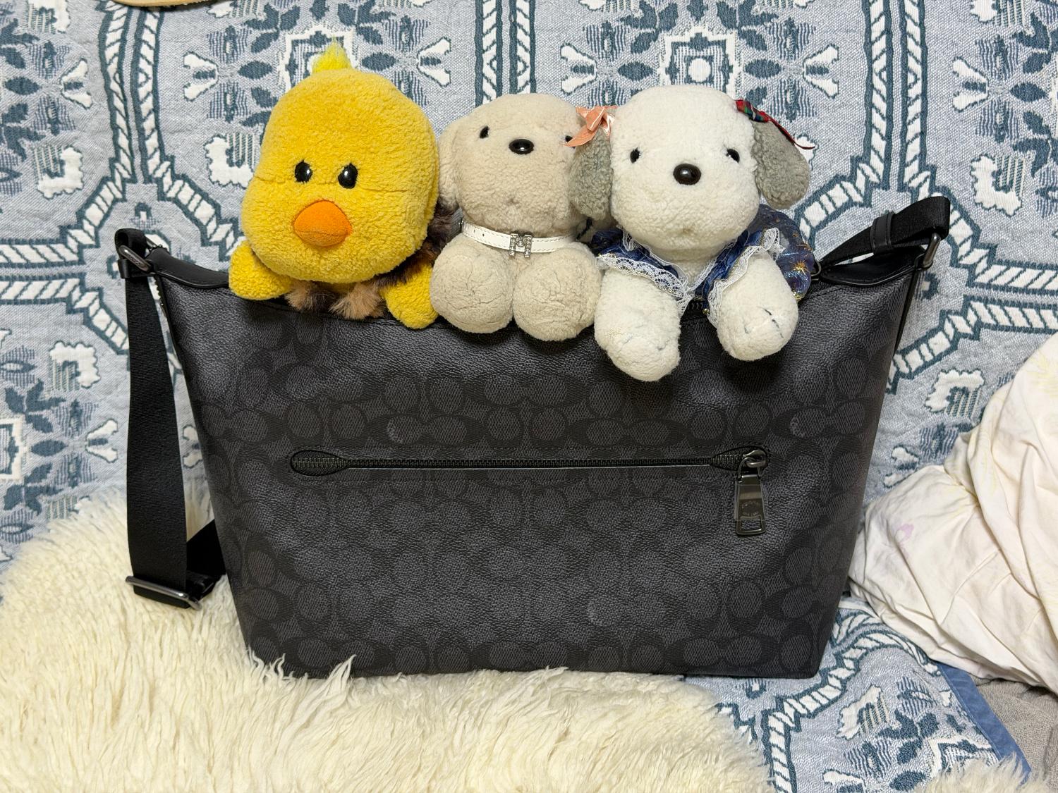 COACH OUTLET | 【公式】フィン クロスボディ バッグ・シグネチャー
