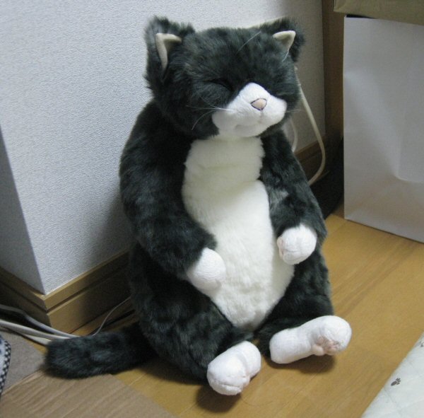 楽天市場】Cuddly カドリー ソメゴロー ぬいぐるみ 猫 ねこ ネコ 灰