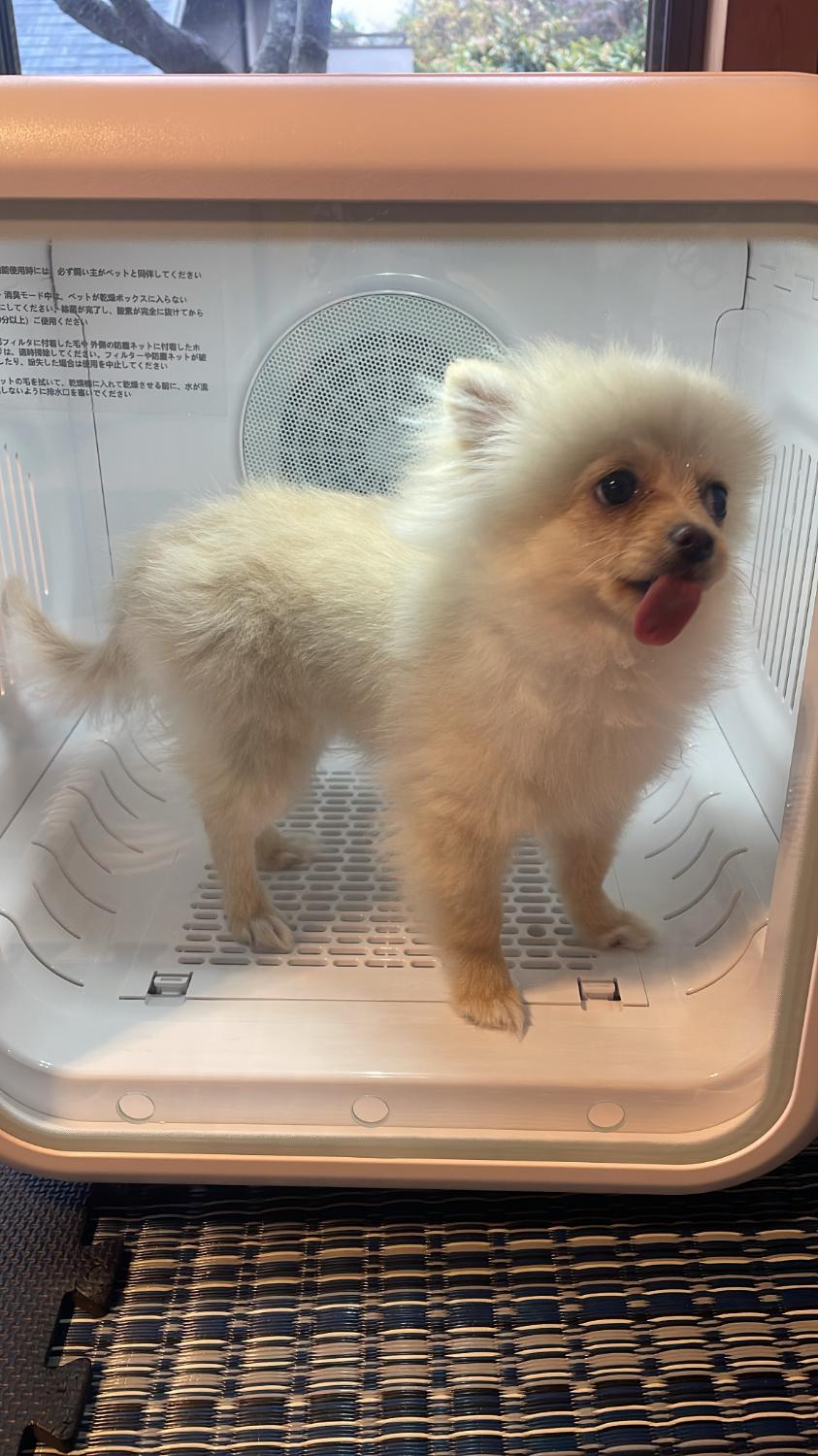 ペットドライルーム ペット乾燥機 口コミ レビュー画像1