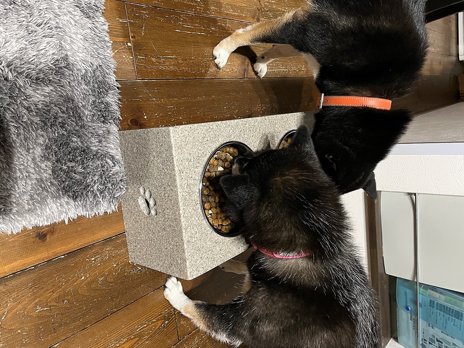 楽天市場 高さが選べる シンプルベーシックm中型犬 エサ入れ2口食器付 2フードテーブル 食器スタンド 水飲み 水入れ 中型犬 いぬ ペット餌入れ おしゃれ オーダー ごはん 送料無料 ヘルニア予防 食器台 名前入れ 人工大理石専門店 I Craft みんなのレビュー 楽天市場 高さが選べる シンプルベーシックm中型犬 エサ入れ2口食器付 2フードテーブル 食器スタンド 水飲み 水入れ 中型犬 いぬ ペット餌入れ おしゃれ オーダー ごはん 送料無料 ヘルニア予防 食器台 名前入れ 人工大理石専門店 I Craft みんなのレビュー