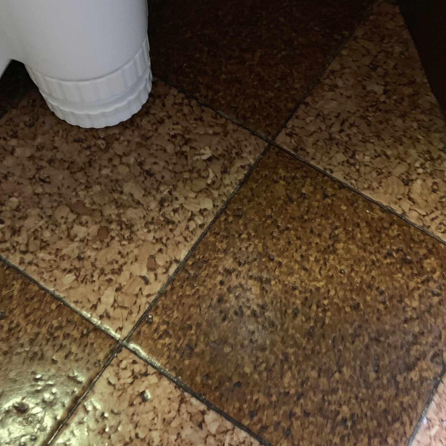 楽天市場 クッションフロア 床材 プレーン ピンク オレンジ系 シンプル ペット 簡単 おしゃれ 人気クッションフロアシリーズ Diyリフォームのお店 かべがみ道場 みんなのレビュー 口コミ