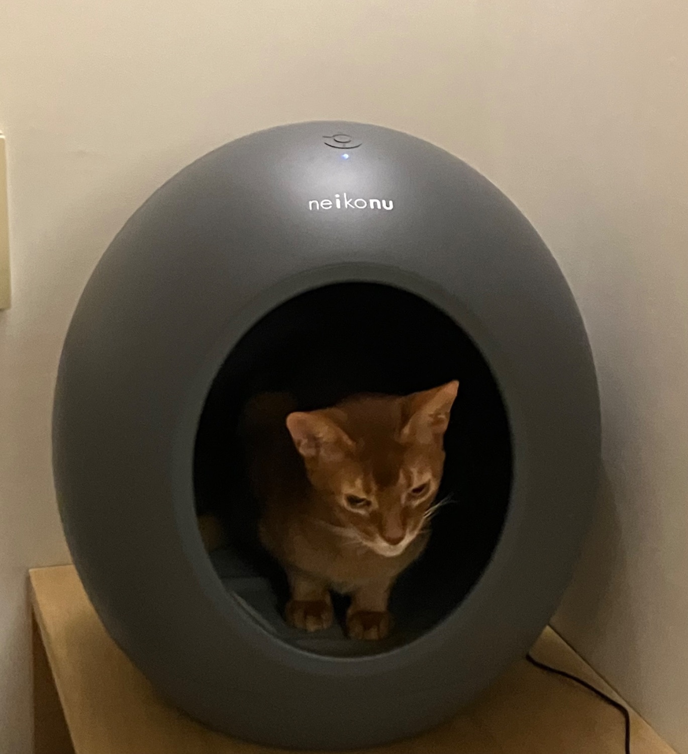 楽天市場】【10%OFFクーポン】 neikonu ROOM ネイコヌ ルーム 床