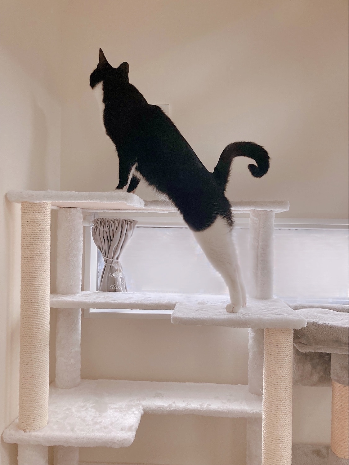 キャットツリー キャットタワー 猫タワー レビュー画像14