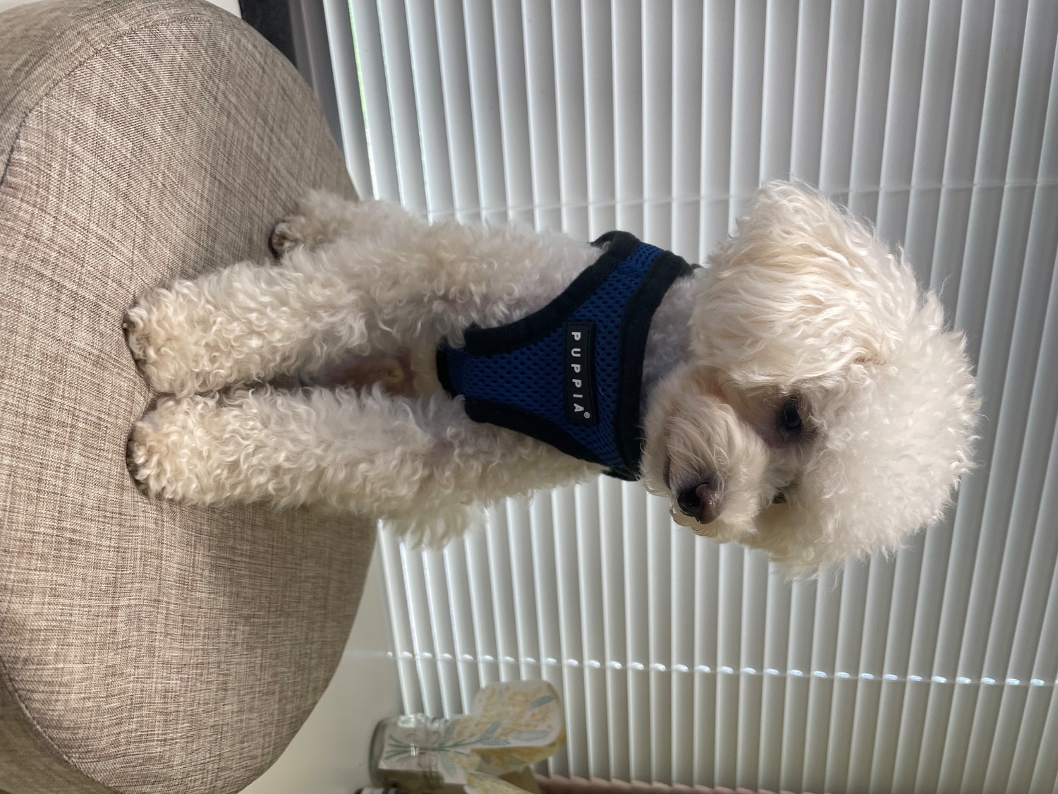 楽天市場】世界累計140万個突破！胴輪部門100週連続1位獲得