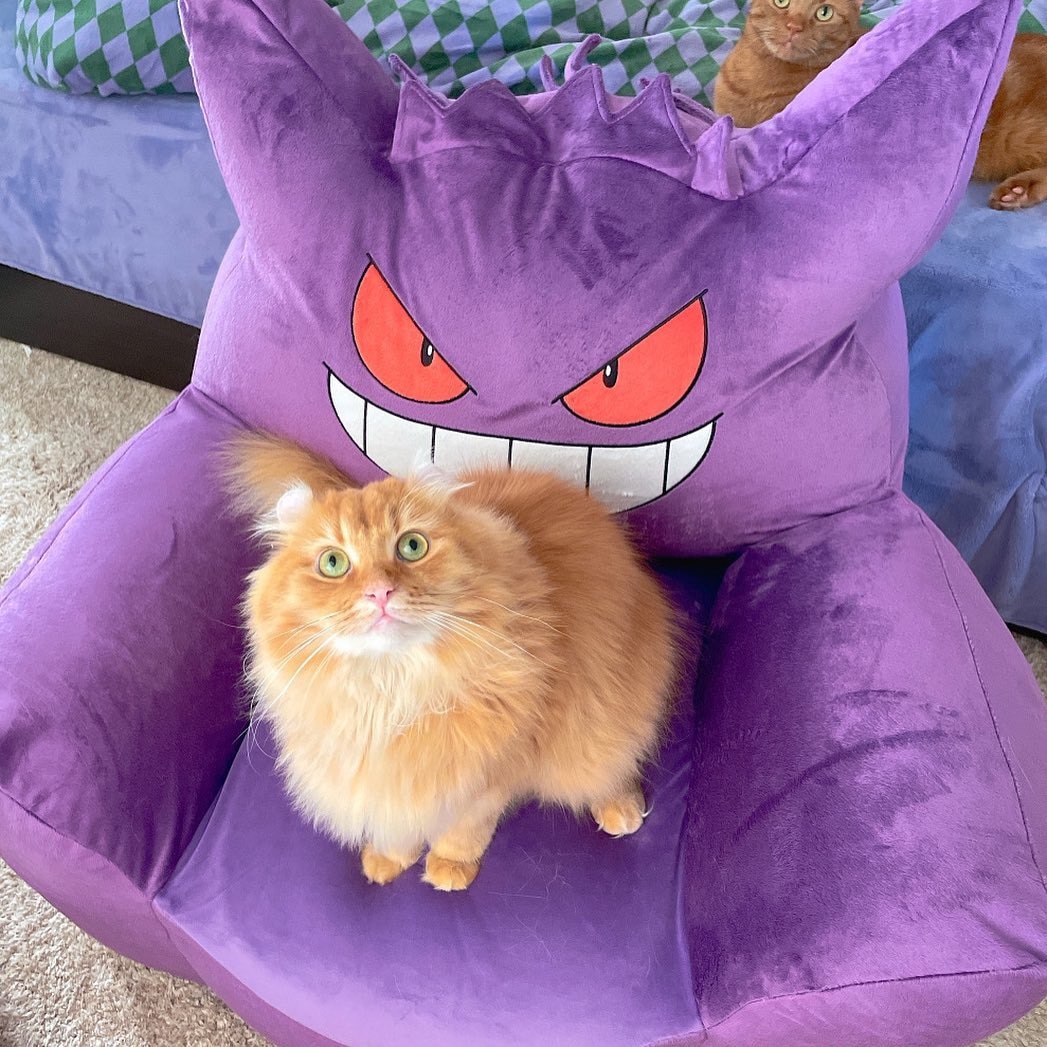楽天市場 ゲンガー ソファ ポケモン ポケットモンスター ソファー ビーズソファ Gangar カビゴン メタモン Pokemon ゲンガービーズソファ セルタン カバーリング Cellutane セルタン みんなのレビュー 口コミ