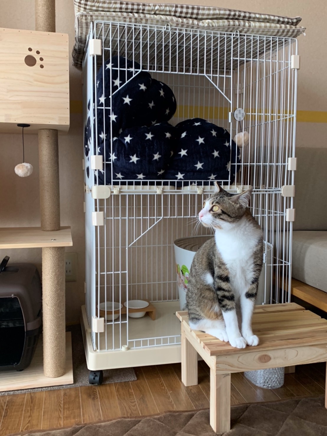 楽天市場 時 4h全品クーポンで5 Off 送料無料 コンパクト キャットケージ ハンモック付 2段 キャスター 付き ステップ台2段 猫ケージ 猫 キャット ケージ 脱走防止 2匹 ペット ゲージ キャットゲージ ペットケージ ハンモック ねこ 子猫 ミニ スリム 小さい