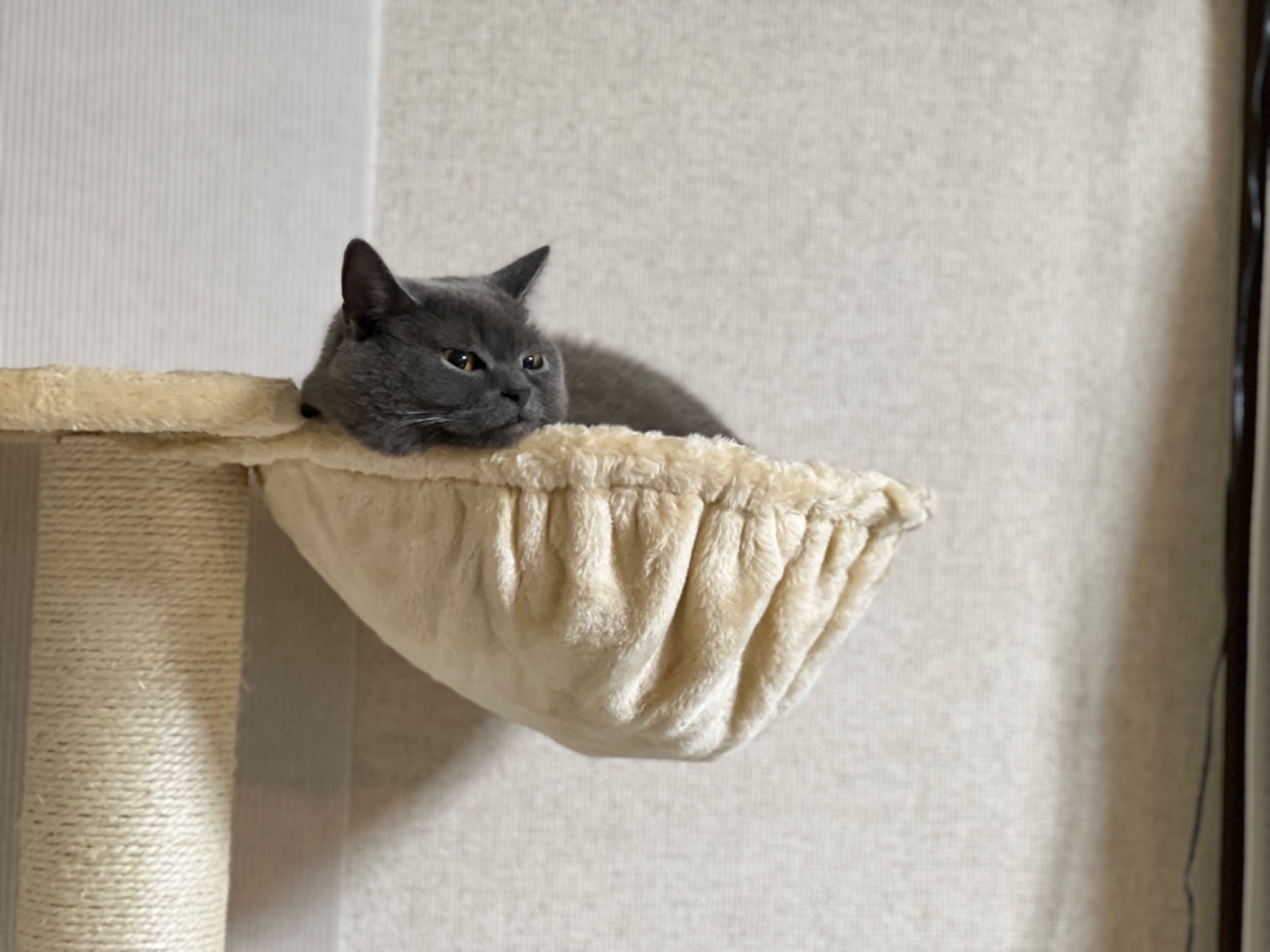 キャットツリー 猫タワー PARTHENON190 レビュー画像15