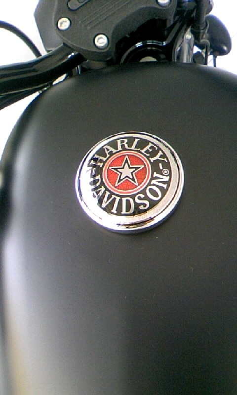 ハーレー スポーツスター 純正 タンクキャップ メダリオン 七宝焼き