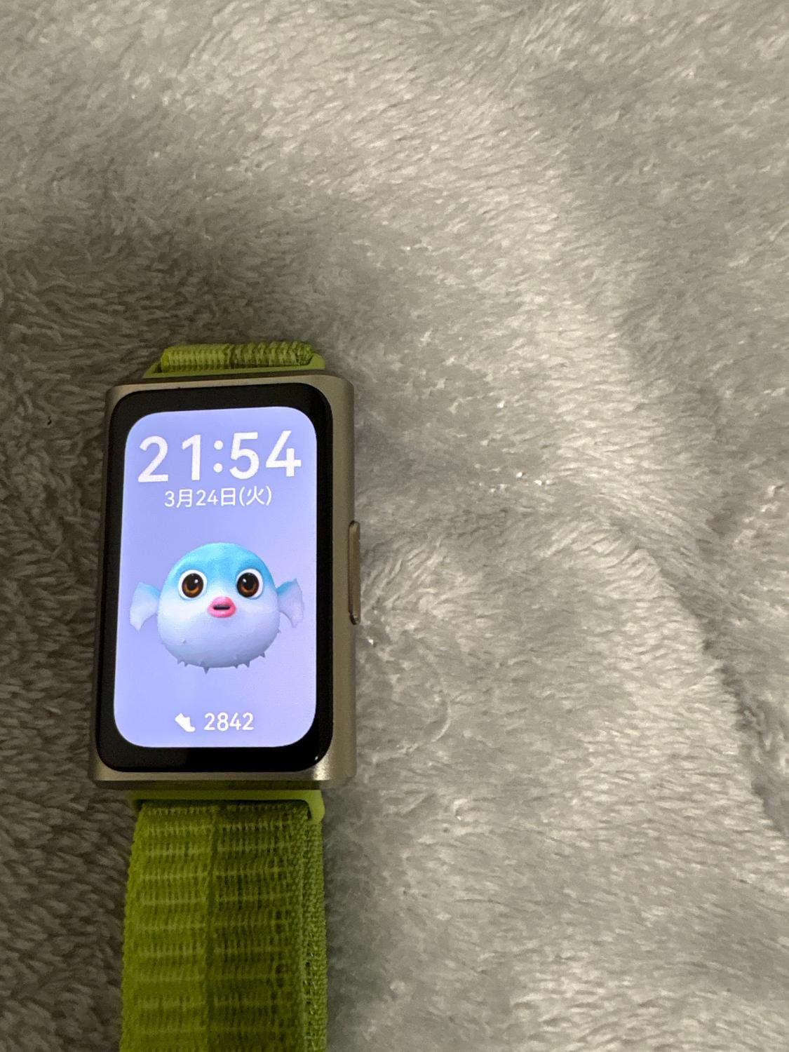 2026新 HUAWEI Band 11 Pro スマートバンド スマートウォッチ レビュー レビュー画像7