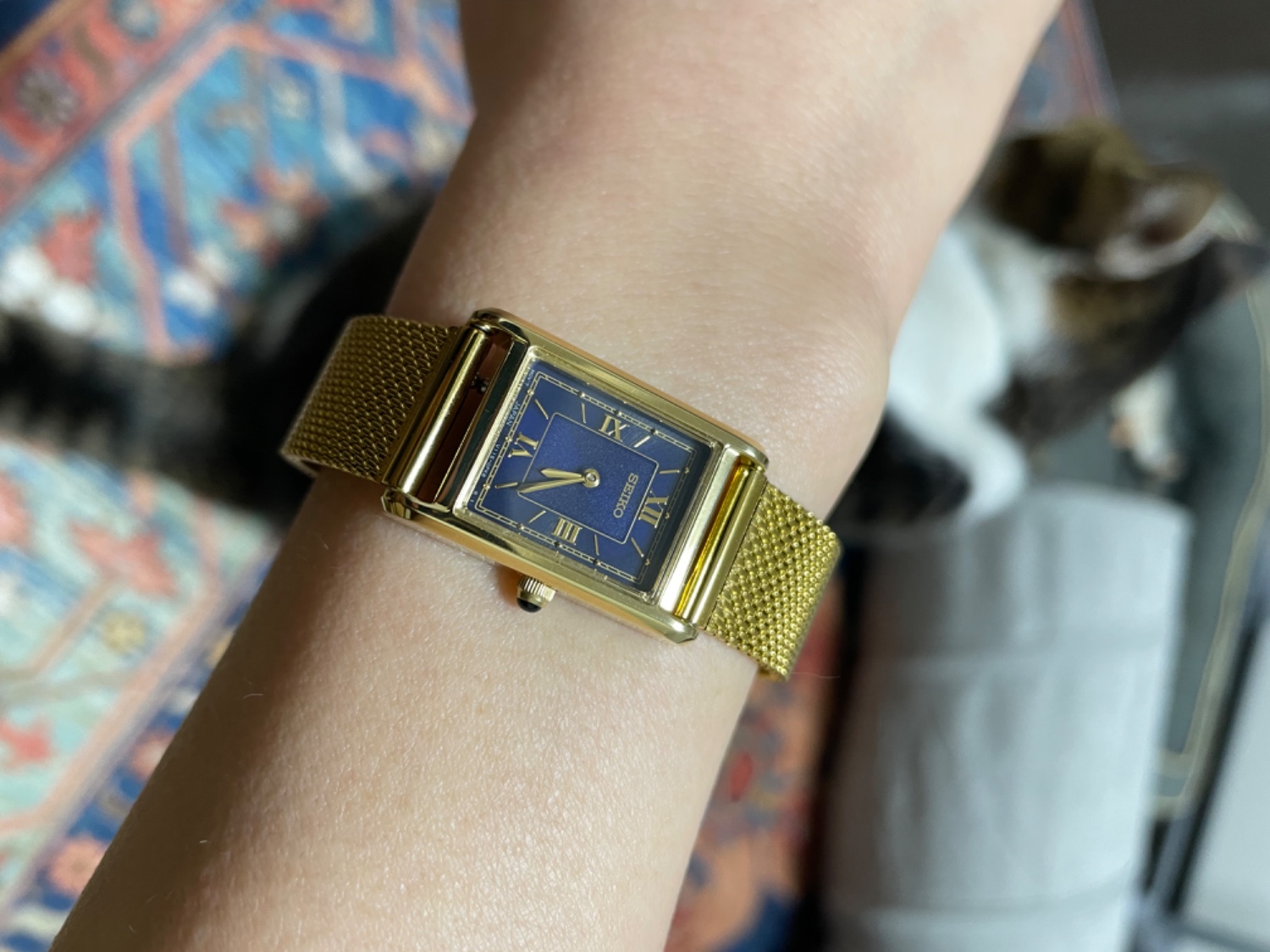 楽天市場】【 メッシュ × レザー ベルトセット 】 SEIKO