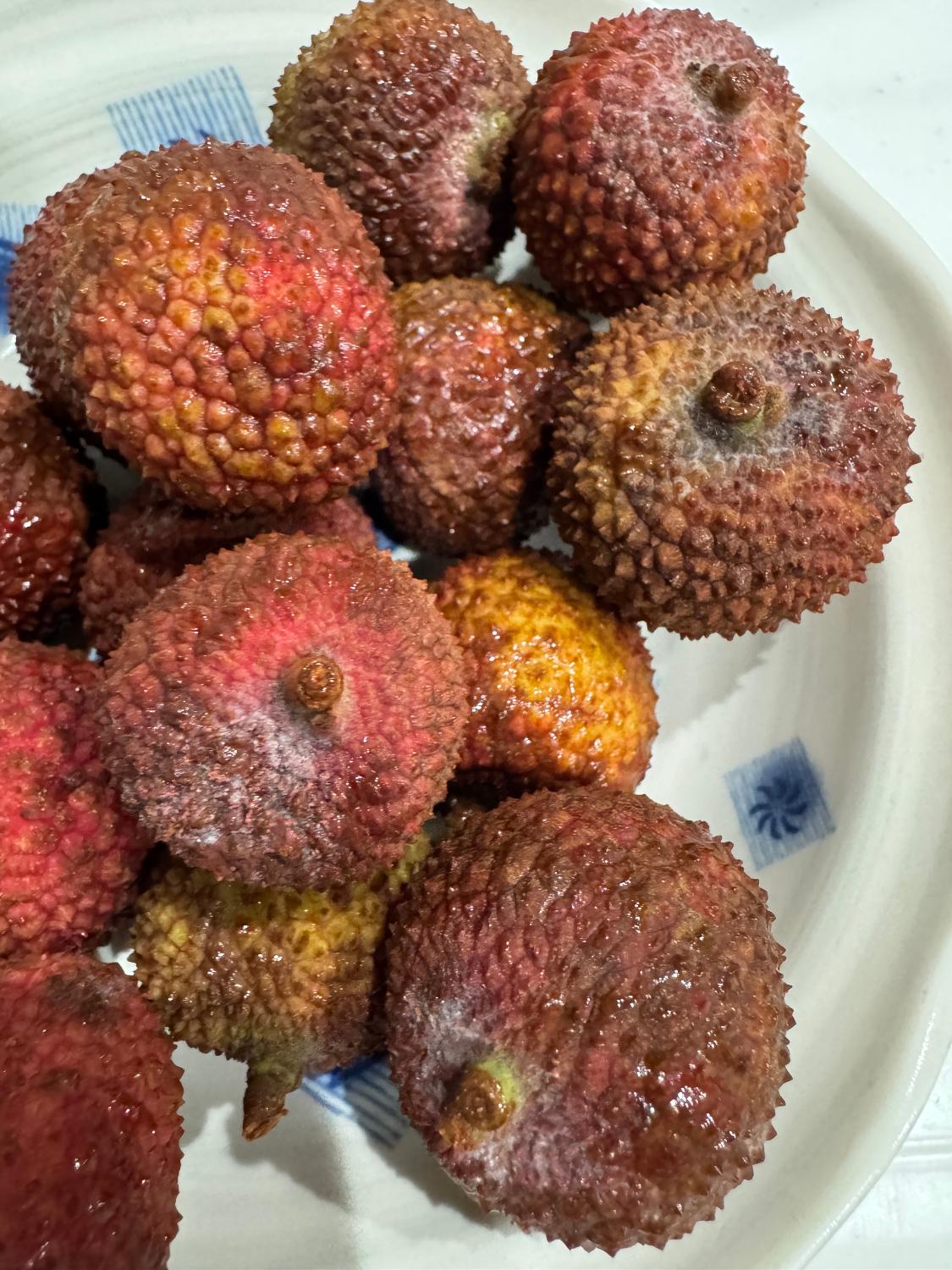楽天市場】生グリーンライチ 妃子笑（ひししょう）中国産 高鮮度