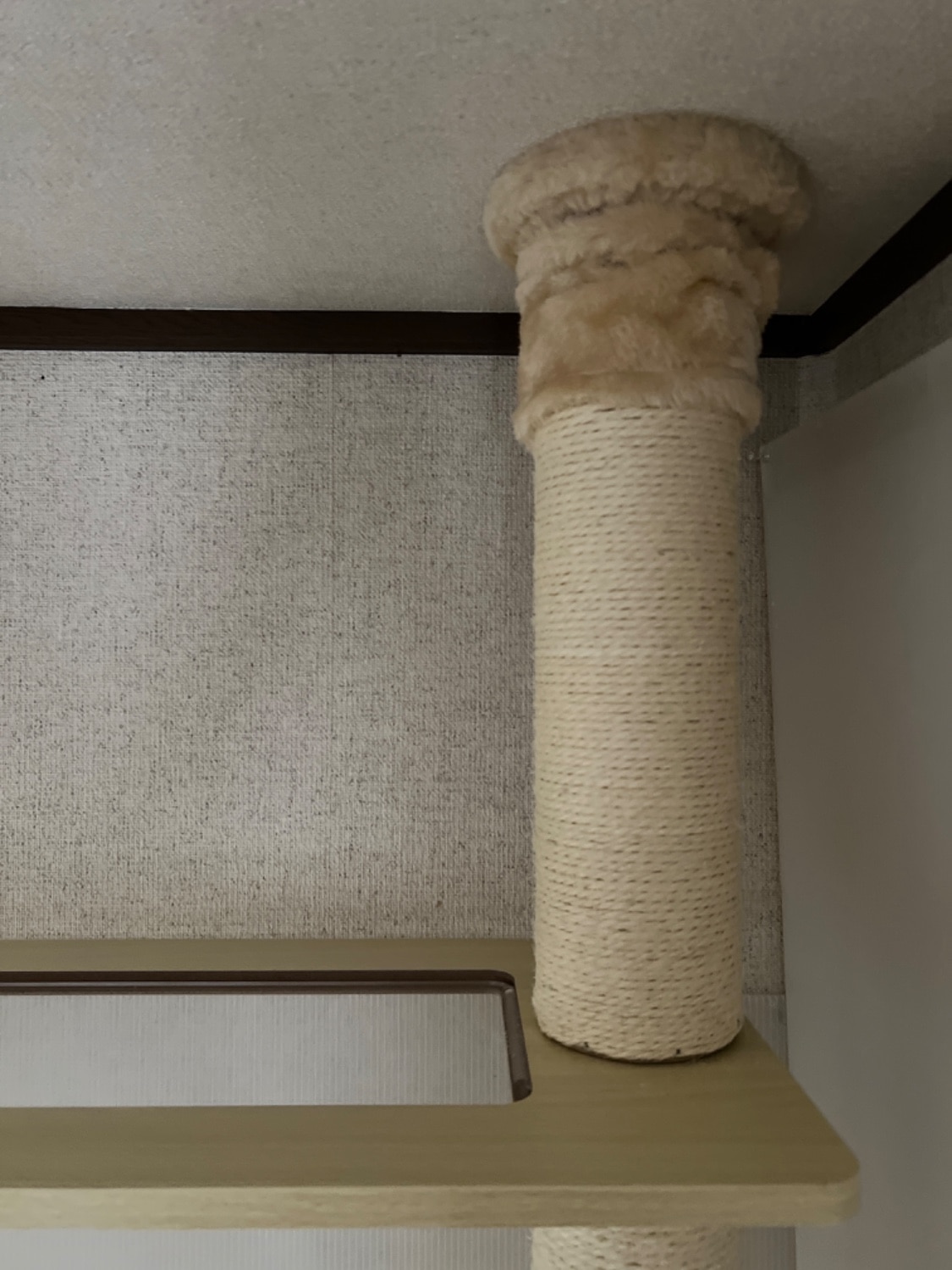 キャットツリー 猫タワー PARTHENON190 レビュー画像18