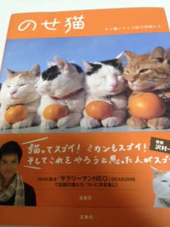 楽天市場 のせ猫 かご猫シロと3匹の仲間たち Shironeko 楽天ブックス みんなのレビュー 口コミ