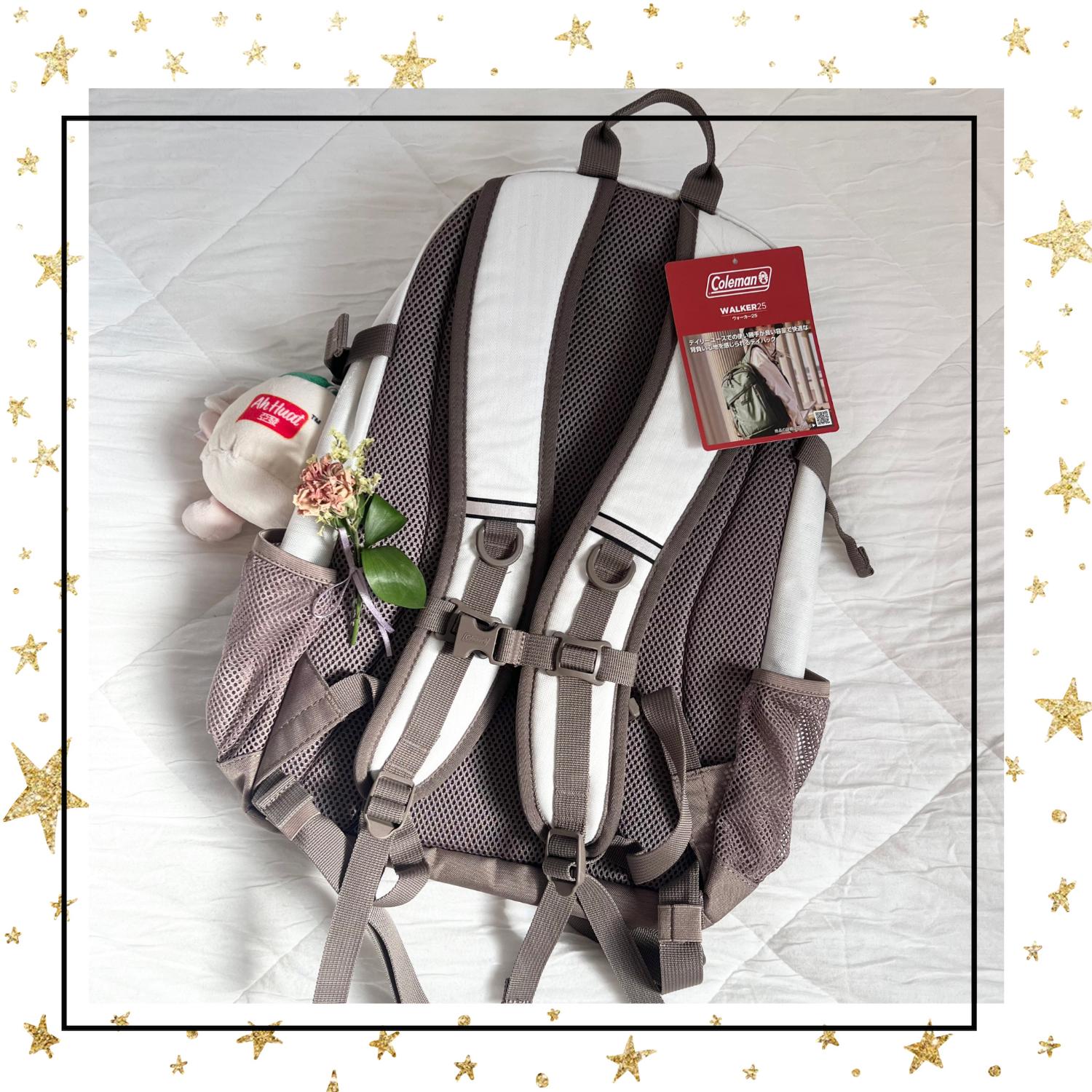 リュック coleman コールマン リュック 25L WALKER 25 CBB7501 メンズ レディース 男子 女 コールマンリュック WALKER25 コールマンウォーカー25 レビュー画像3