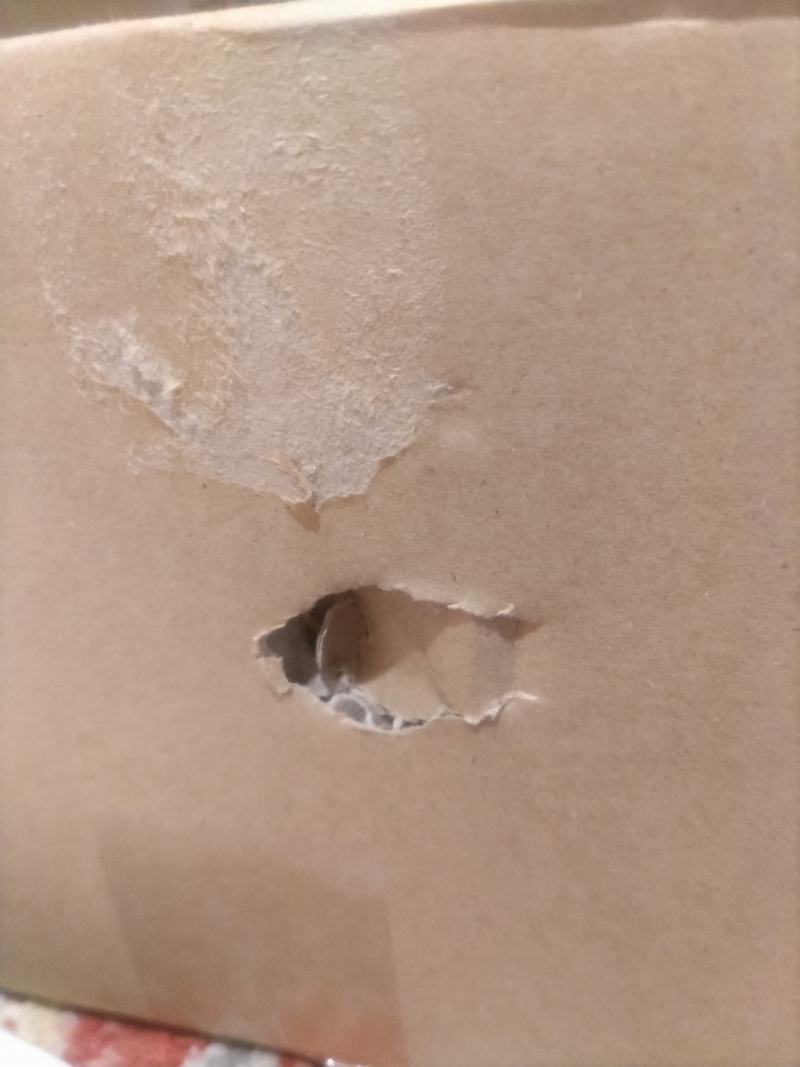 金芽米 金芽米ハイセレクト 無洗米 レビュー画像14