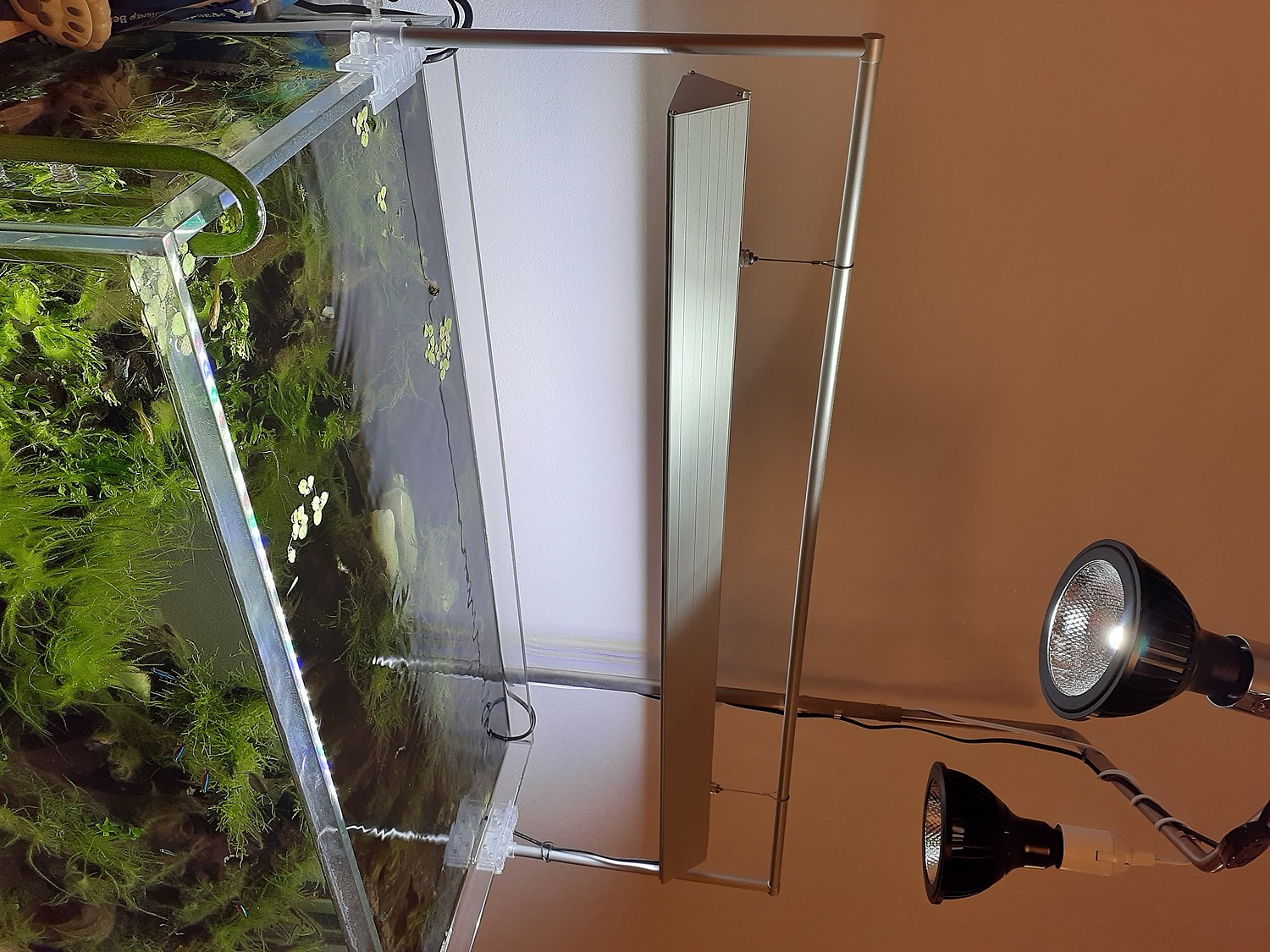 楽天市場 アクロ Triangle Led Grow 900 5000lm 90cm水槽照明 ライト 水草育成 熱帯魚 アクアリウム 沖縄別途送料 関東当日便 Charm 楽天市場店 みんなのレビュー 口コミ 楽天市場 アクロ Triangle Led Grow 900 5000lm 90cm水槽照明 ライト 水草育成 熱帯魚 アクアリウム 沖縄別途送料 関東当日便 Charm 楽天市場店 みんなのレビュー 口コミ