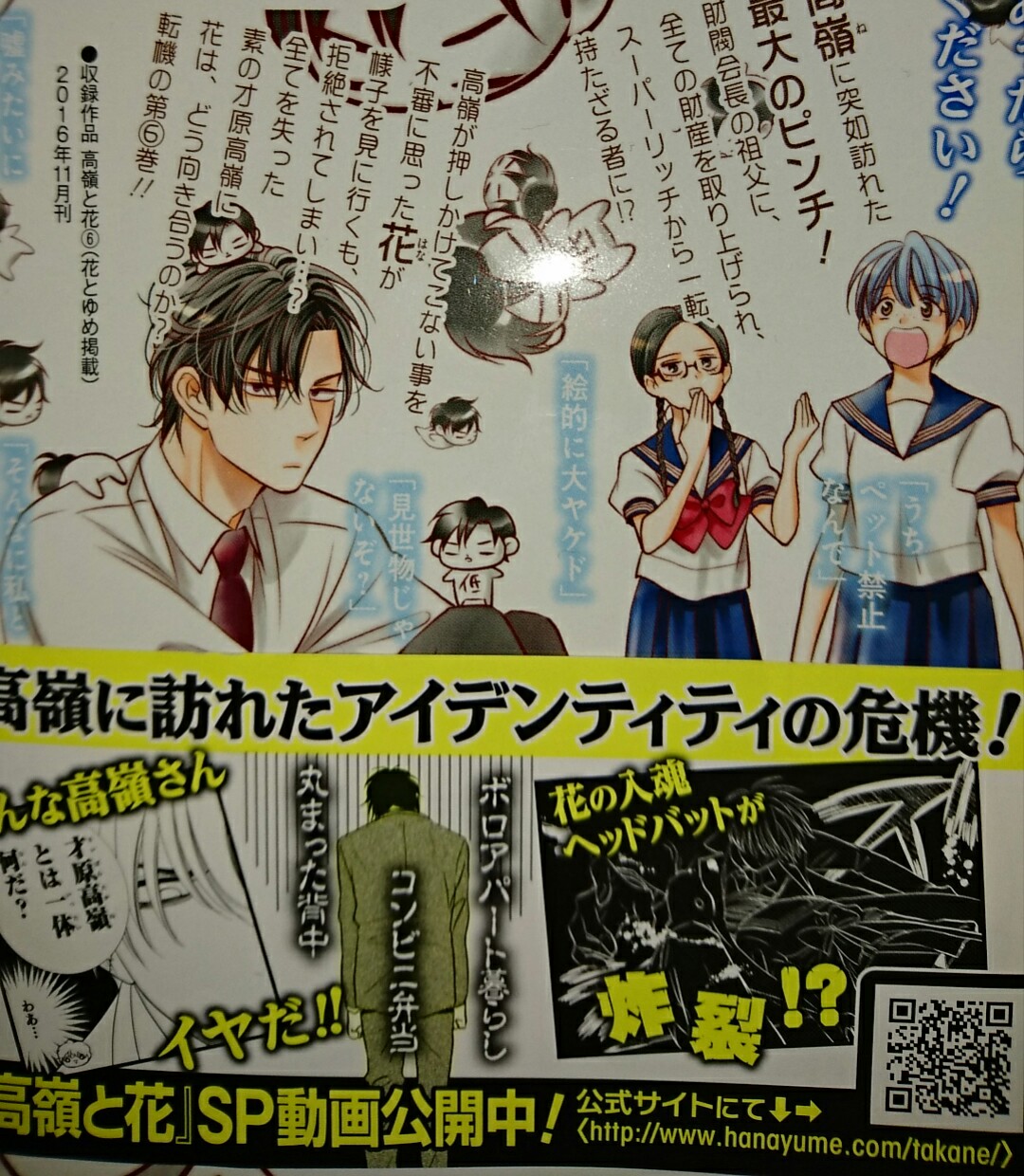 楽天市場 高嶺と花 6 花とゆめコミックス 師走ゆき 楽天ブックス 未購入を含む みんなのレビュー 口コミ