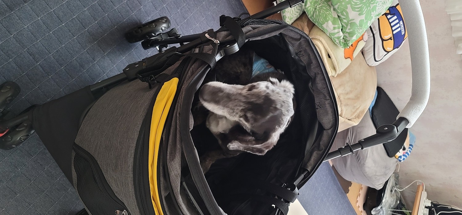 ◆SALE◆ ペットカート 分離式 大型犬 多頭 耐荷重25KG 中型犬 犬カート 分離両用 折りたたみ 多頭 中型犬  ペットカート 分離式ペットカート 中型犬カート レビュー画像13