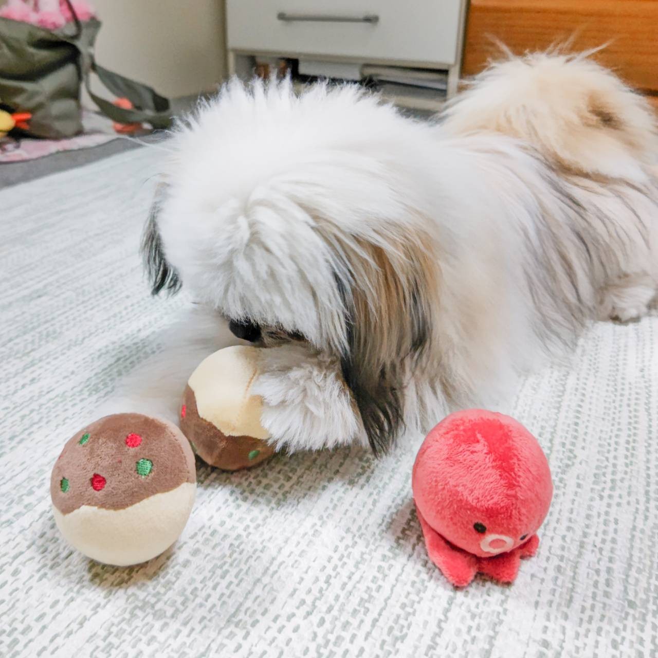 犬 おもちゃ ボールトイ たこ焼き | 音が鳴る たこやき 知育 ノーズ