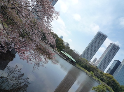 2012.04.15浜離宮庭園7.jpg