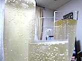 IMG_4485.JPG