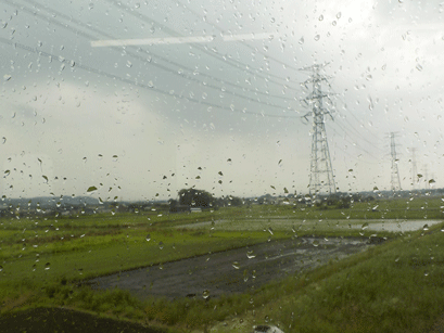 ゲリラ雷雨3