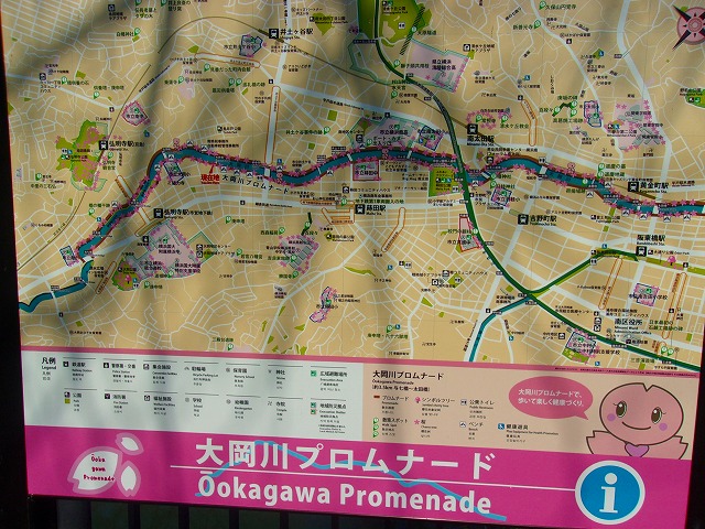 大岡川桜の看板.jpg