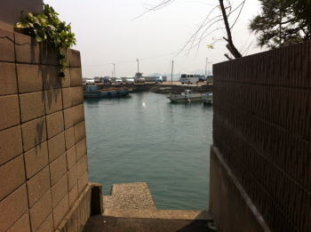 iwagi08.jpg
