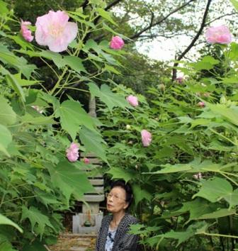 20160903-110053suifuyo450.jpg
