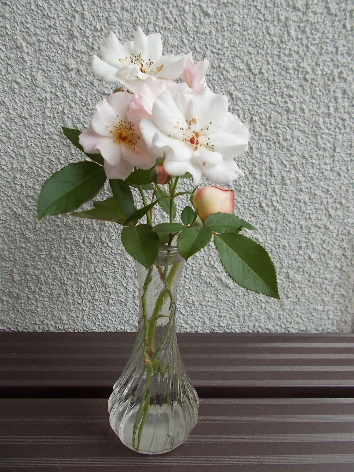 63ページ目の記事一覧 バラを咲かせることが好き 楽天ブログ 63ページ目の記事一覧 バラを咲かせることが好き 楽天ブログ