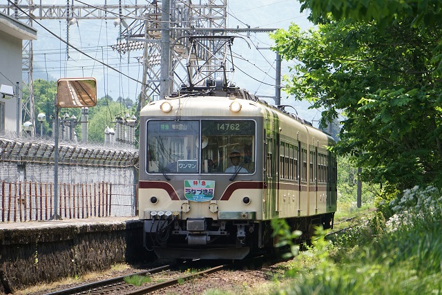 富山地鉄 特急車両 バラエテイ－3